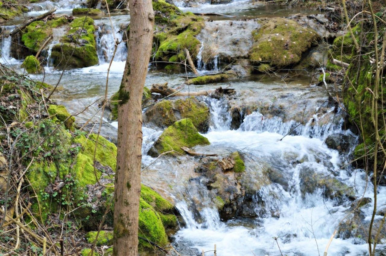 Smestaj Durungara Jovic Petrovac na Mlavi Buitenkant foto