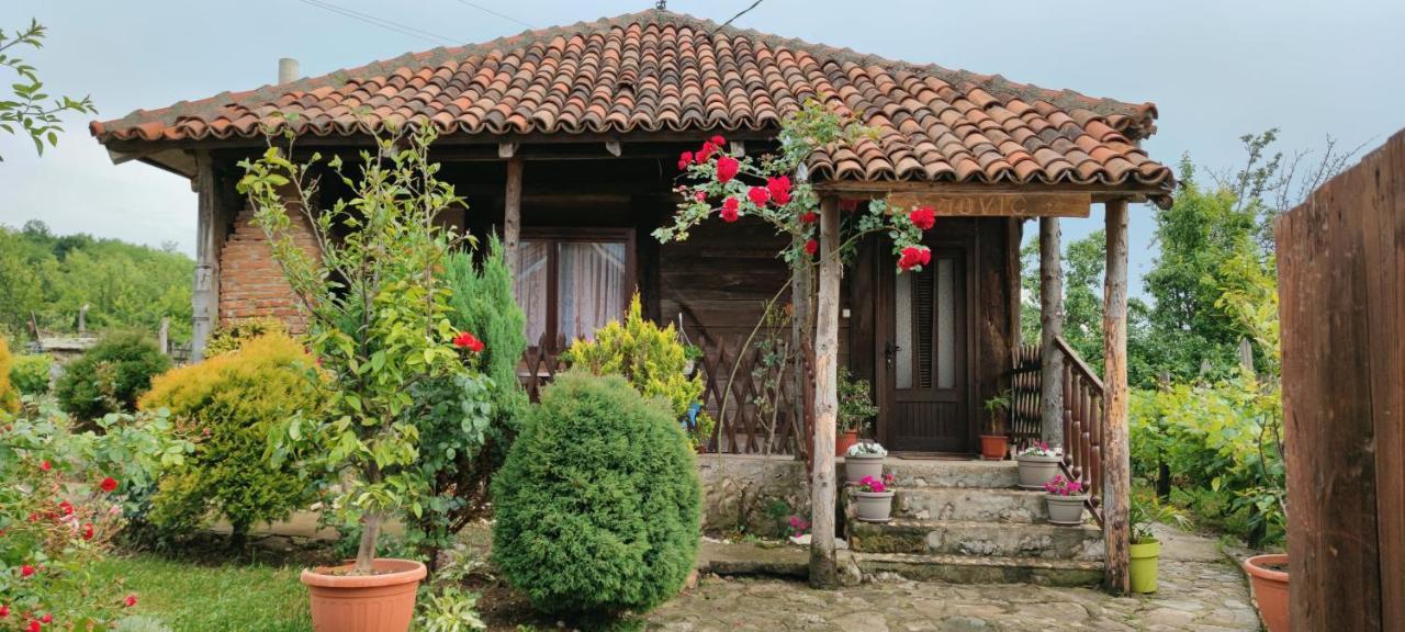 Smestaj Durungara Jovic Petrovac na Mlavi Buitenkant foto