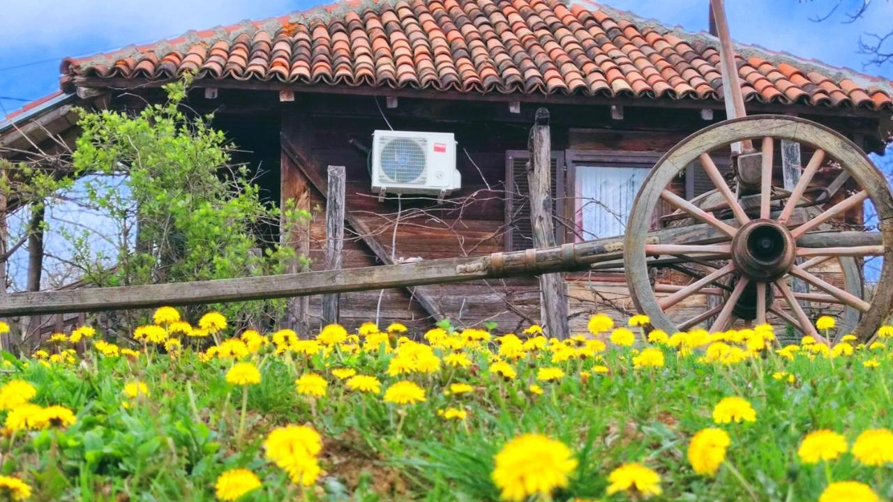 Smestaj Durungara Jovic Petrovac na Mlavi Buitenkant foto